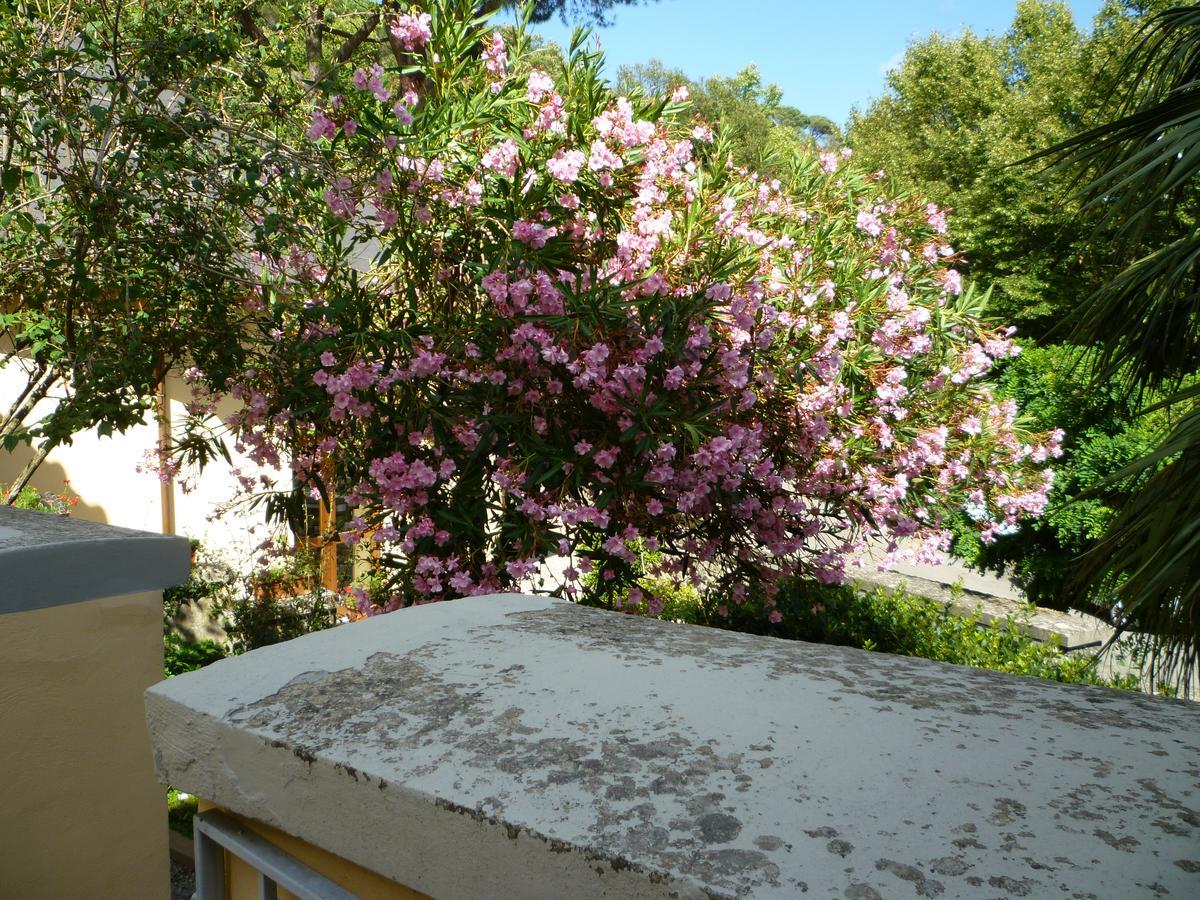 Villa Santa Margherita - B&B Кортона Екстериор снимка